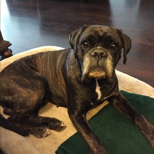 Hello, whatcha selling?